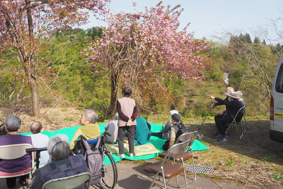 お花見