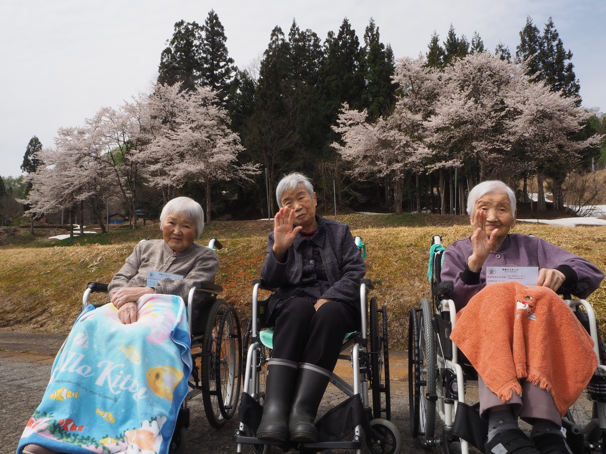 お花見🌸